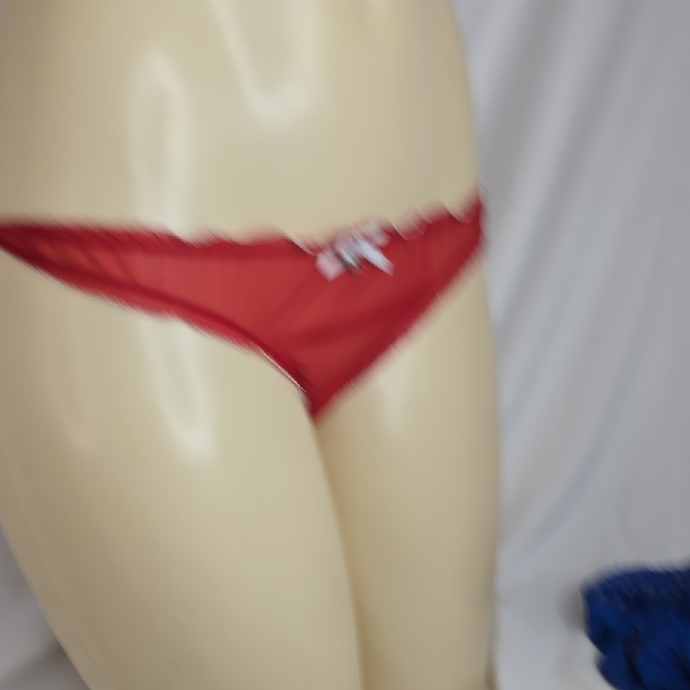 Intimissimi Red Mesh Panties